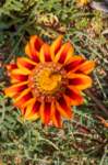 _namibia23ago3034_small.jpg