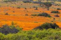 _namibia23ago3039_small.jpg