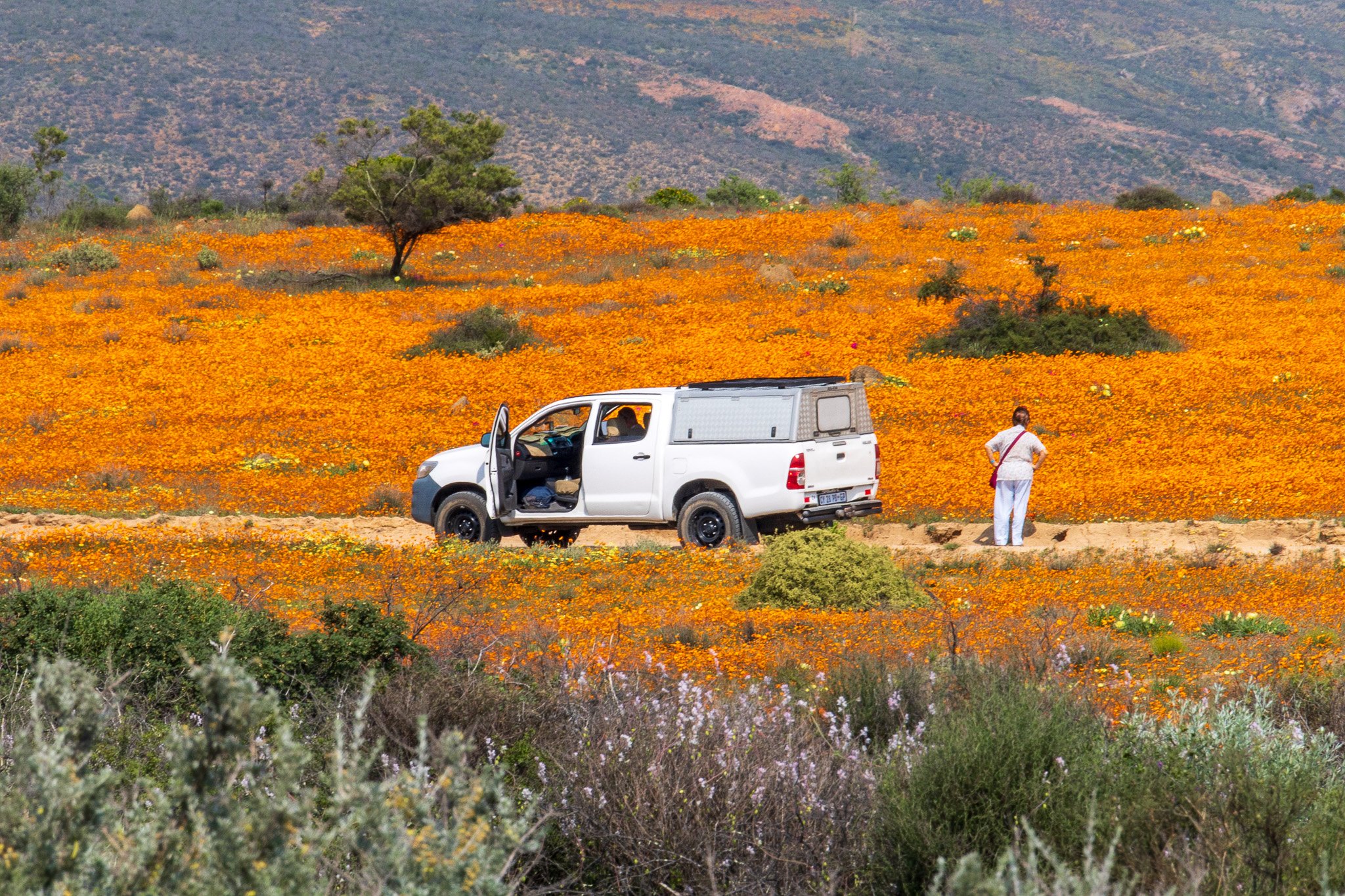 _namibia23ago3040.jpg