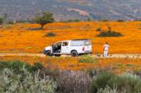 _namibia23ago3040_small.jpg