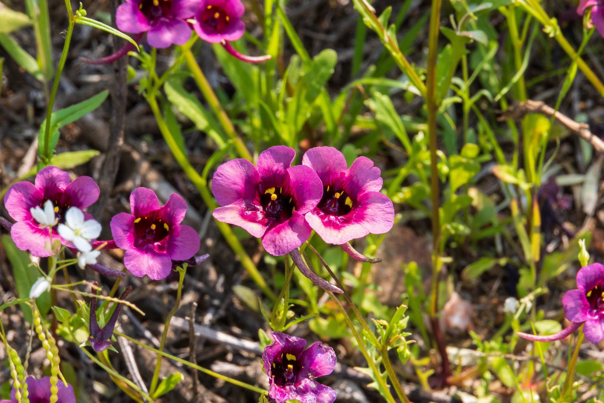 _namibia23ago3041.jpg