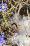 _namibia23ago3048_small.jpg