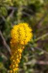 _namibia23ago3052_small.jpg