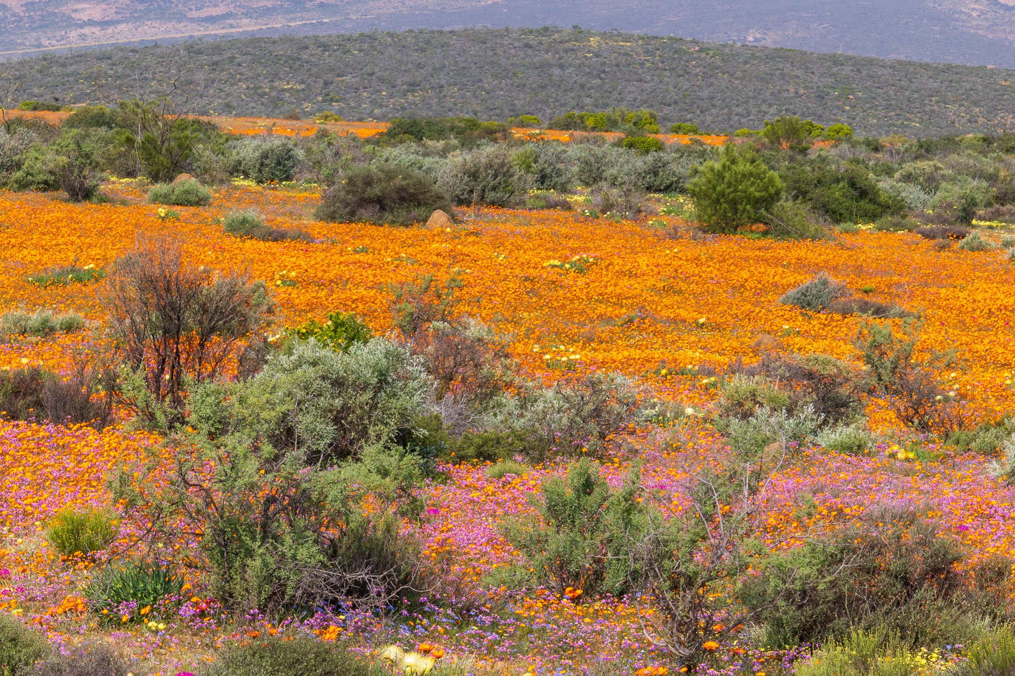 _namibia23ago3053.jpg