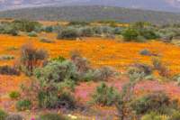 _namibia23ago3053_small.jpg