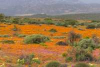 _namibia23ago3054_small.jpg