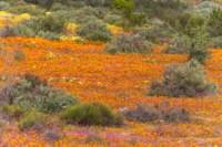 _namibia23ago3055_small.jpg