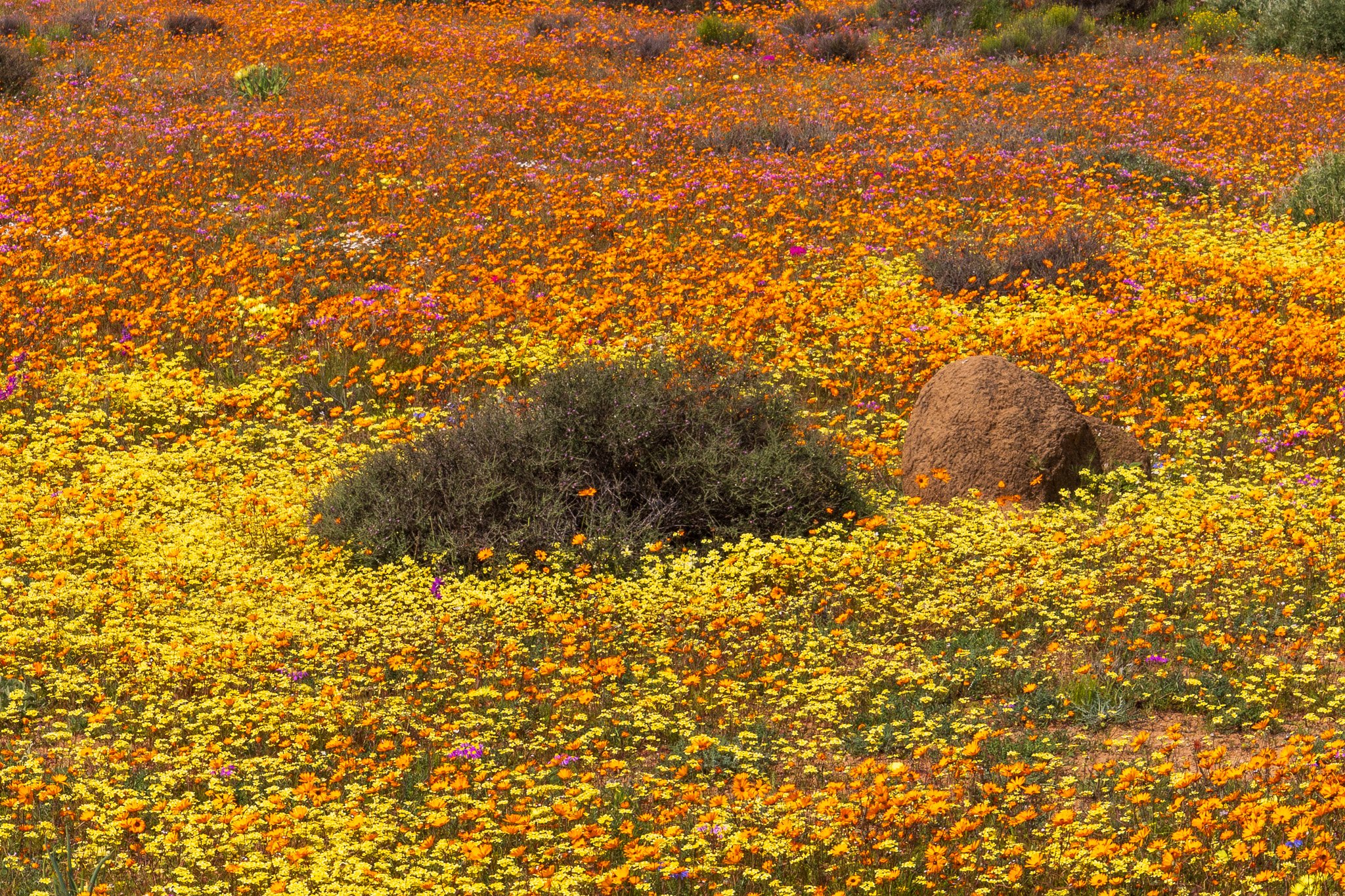 _namibia23ago3056.jpg