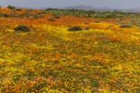 _namibia23ago3057_small.jpg