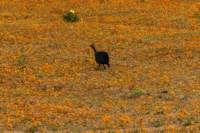 _namibia23ago3058_small.jpg