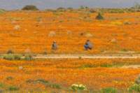 _namibia23ago30_1_small.jpg