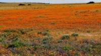 c_namibia23ago30_small.jpg