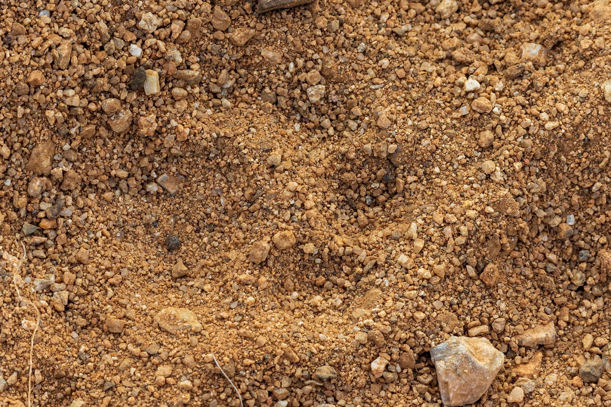 _namibia23set01106.jpg