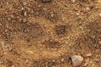 _namibia23set01106_small.jpg