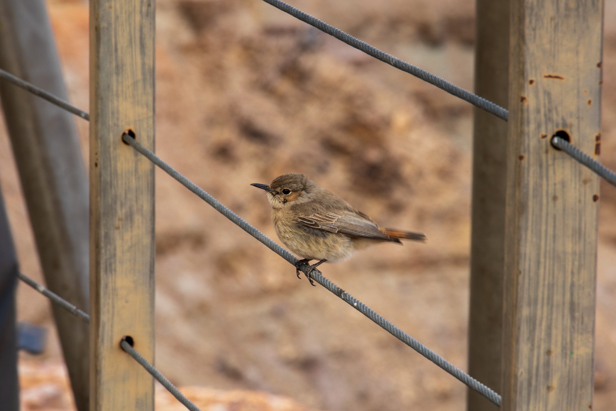 _namibia23set0117.jpg