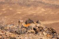 _namibia23set0156_small.jpg