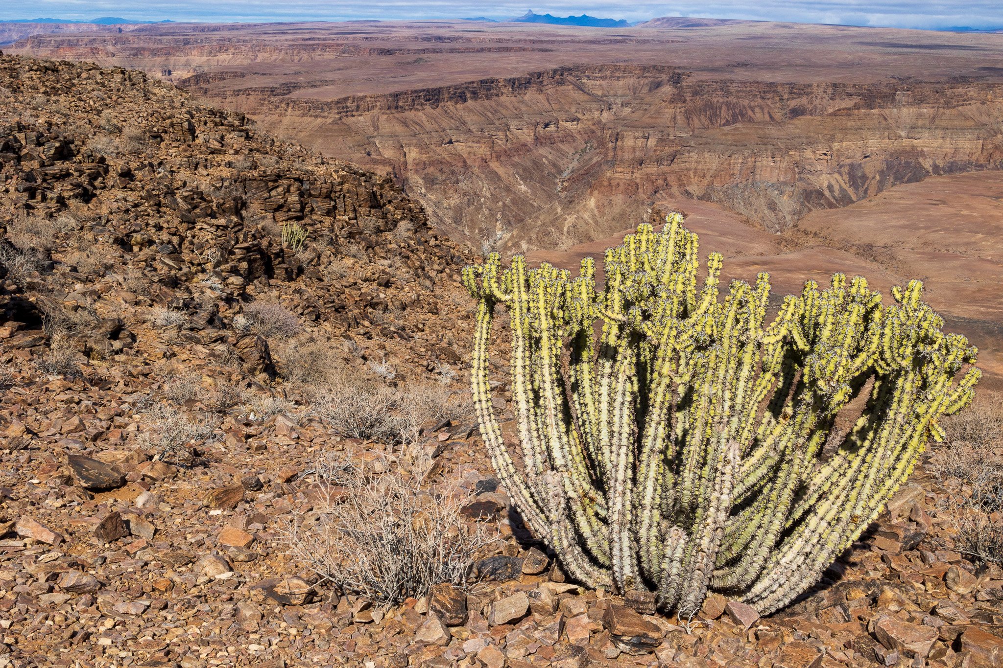 _namibia23set0158.jpg