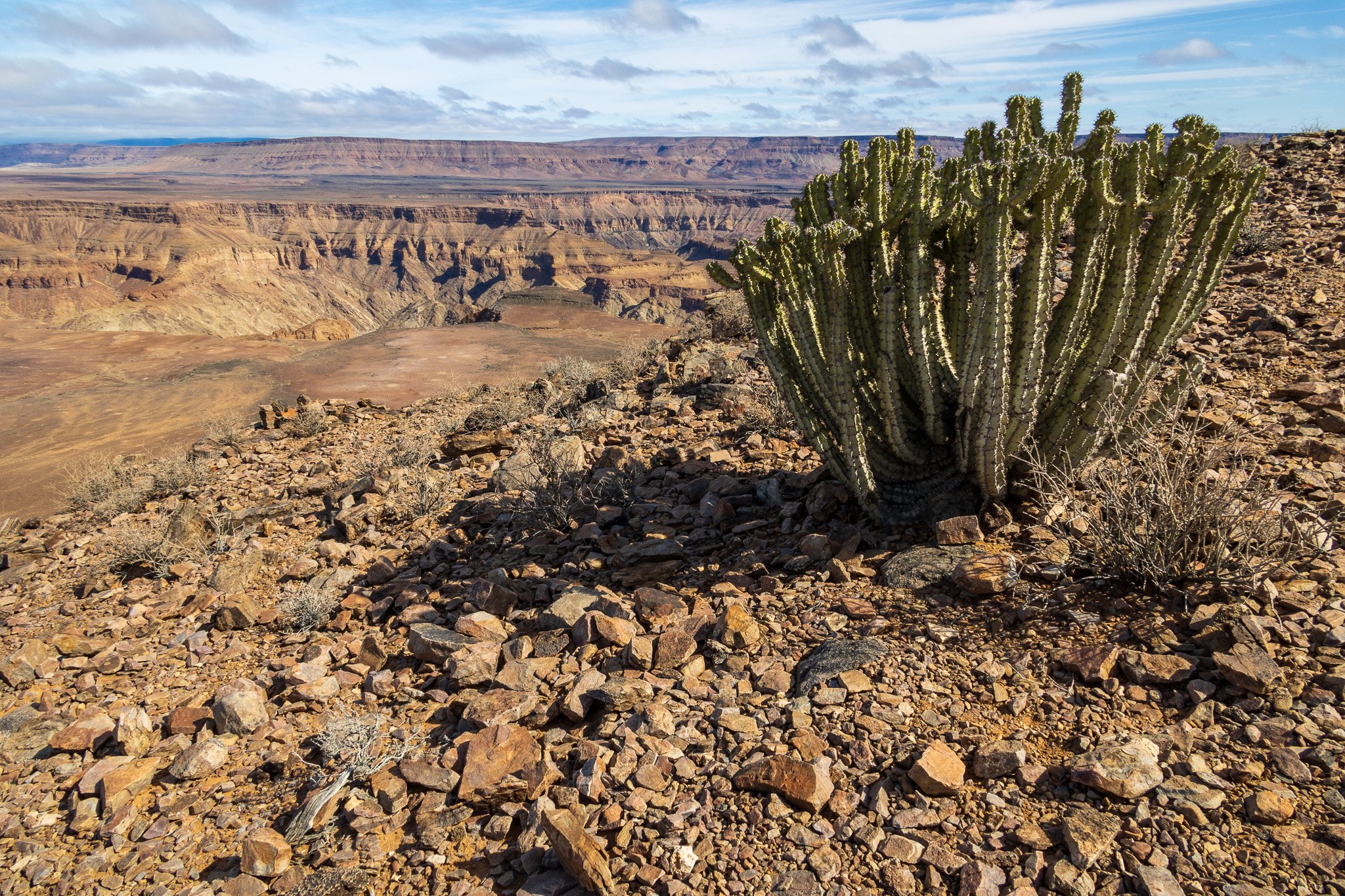 _namibia23set0159.jpg