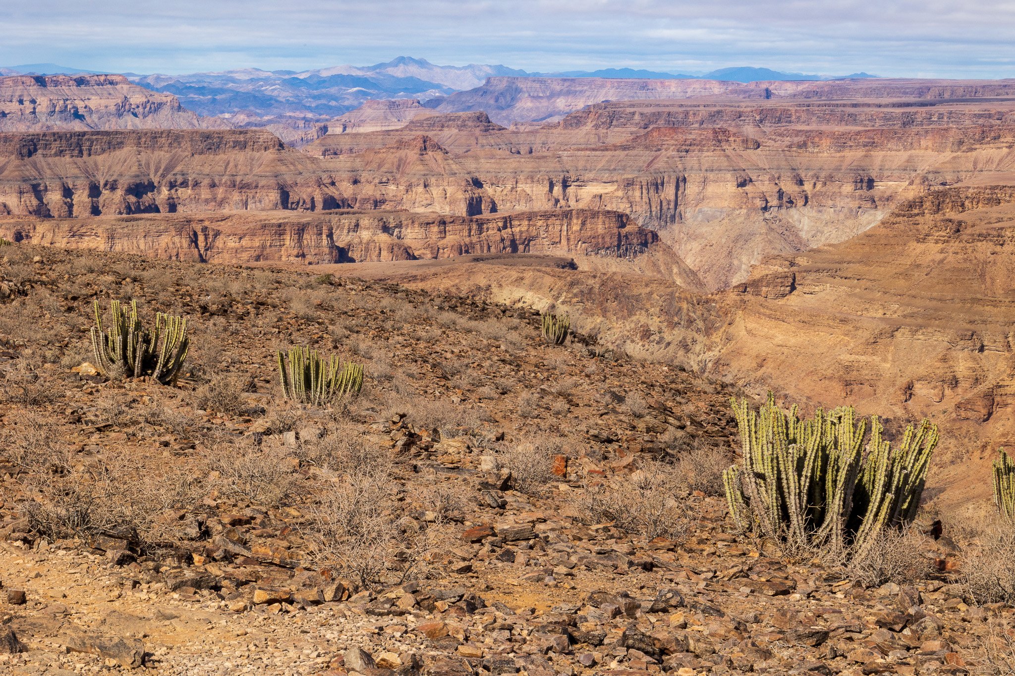 _namibia23set0160.jpg