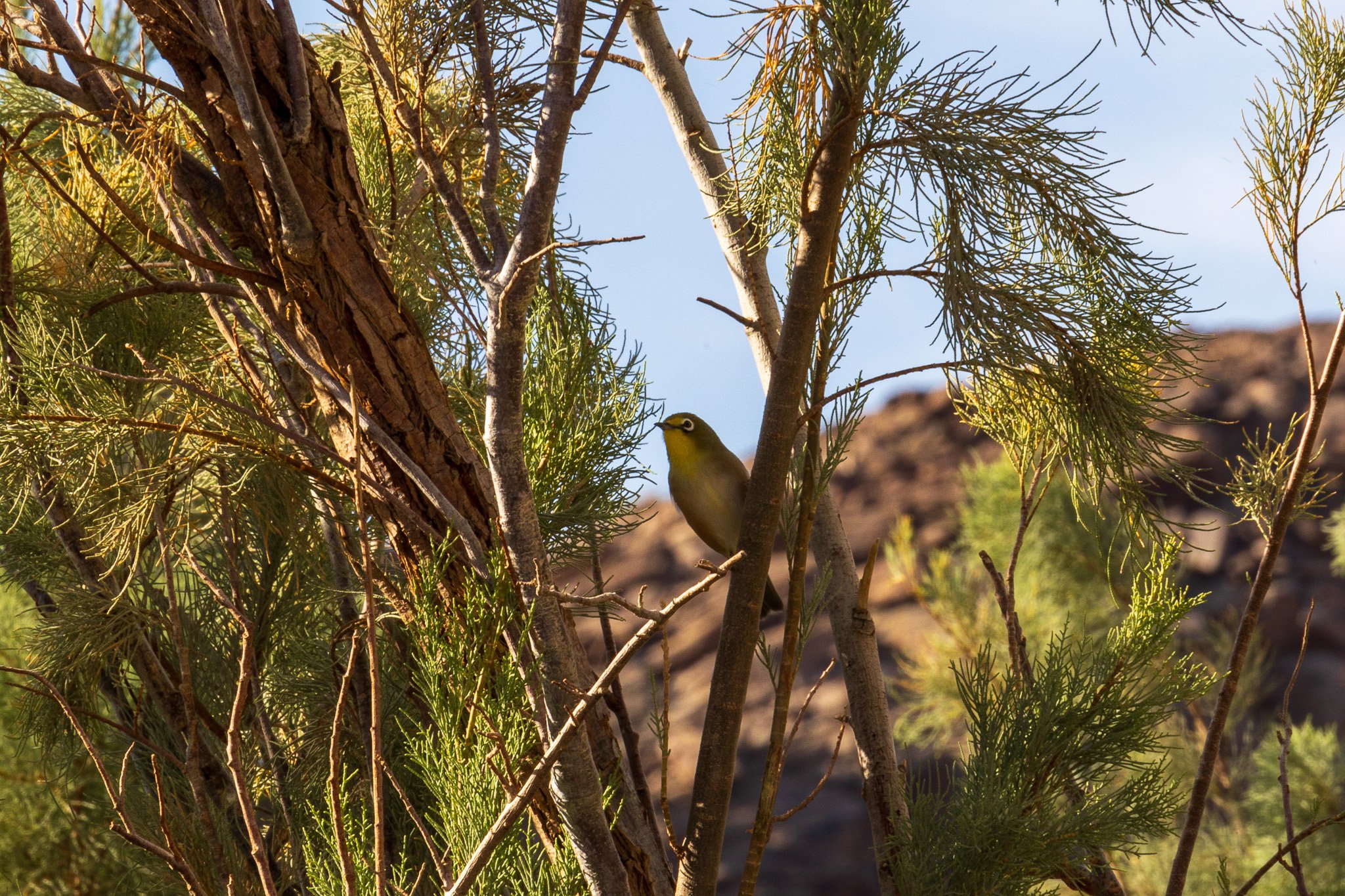 _namibia23set0181.jpg
