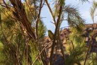 _namibia23set0181_small.jpg