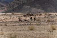 _namibia23set0185_small.jpg