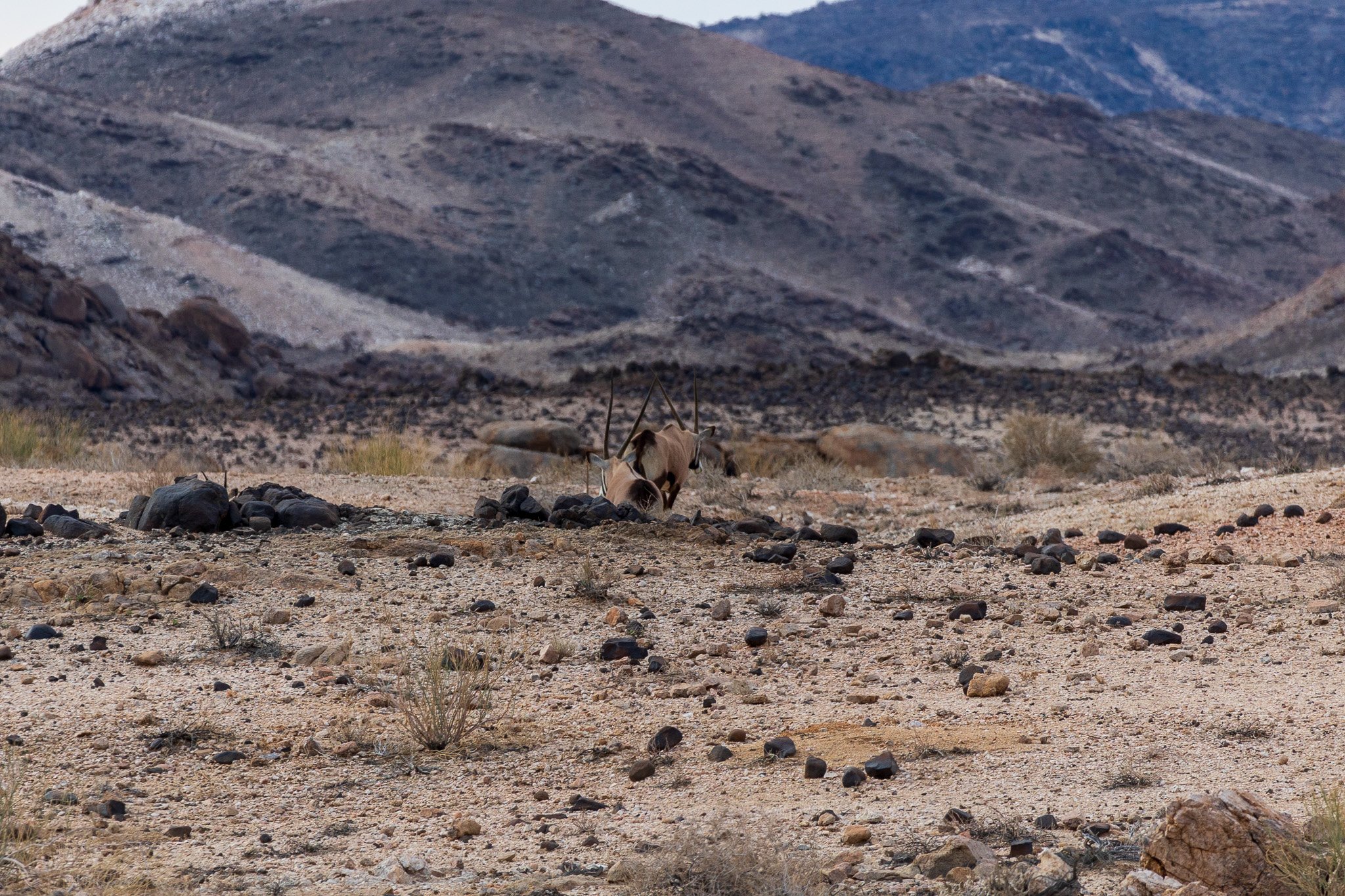 _namibia23set0186.jpg