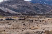 _namibia23set0186_small.jpg