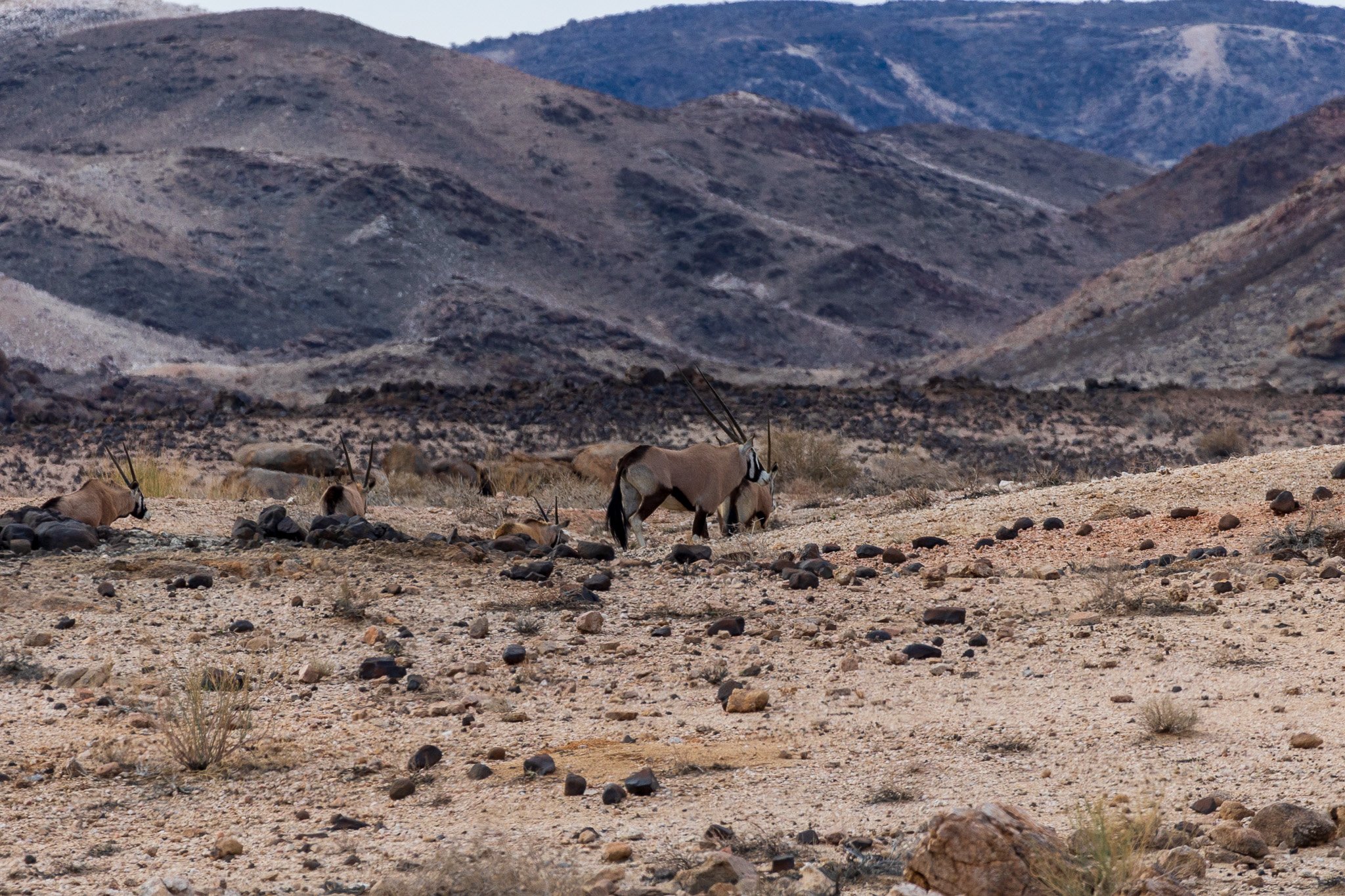 _namibia23set0187.jpg