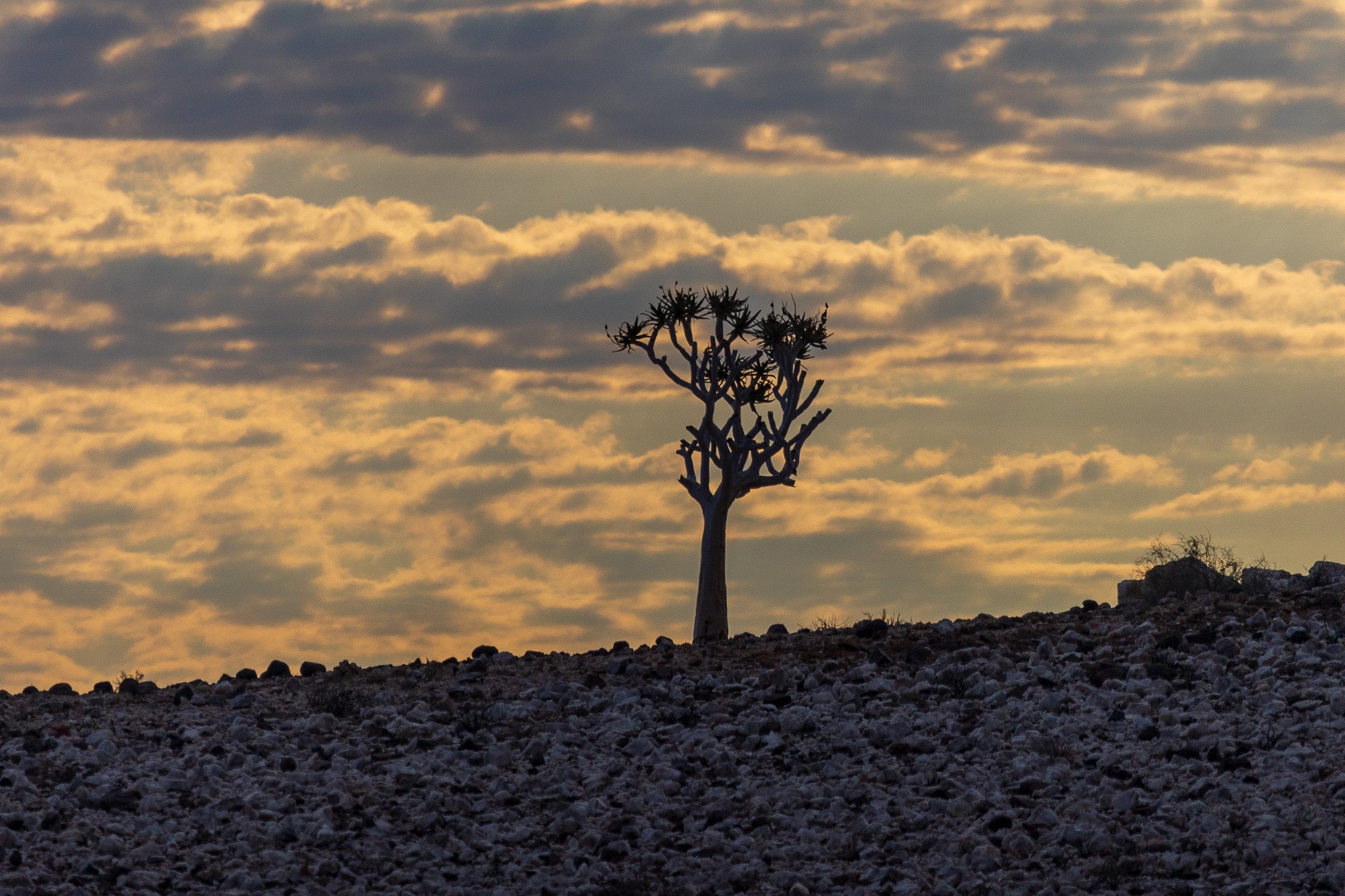 _namibia23set0198.jpg