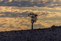 _namibia23set0198_small.jpg