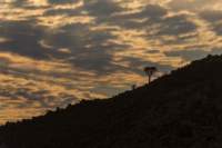 _namibia23set0199_small.jpg