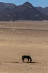 _namibia23set0211_small.jpg