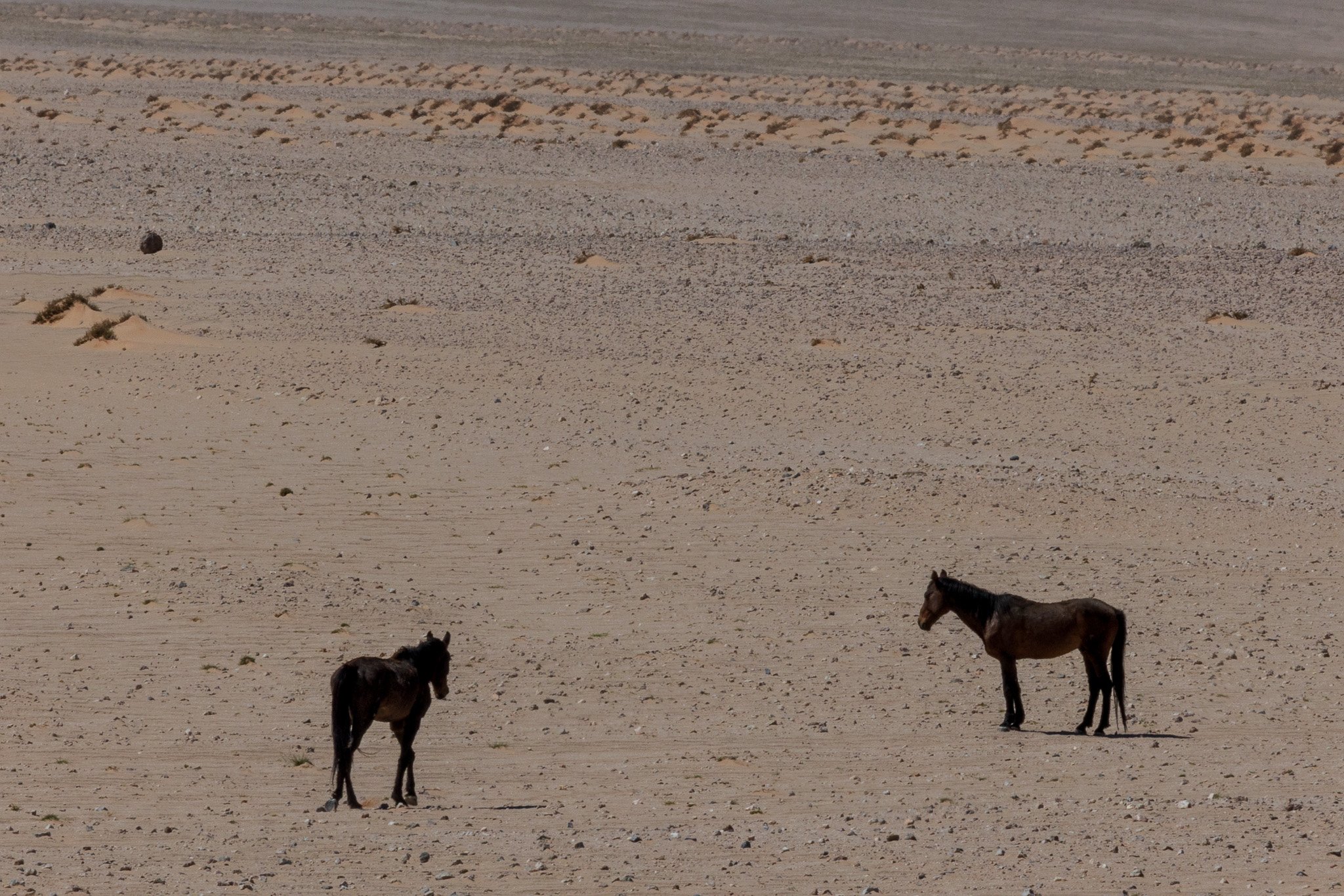 _namibia23set0212.jpg