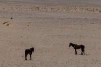 _namibia23set0212_small.jpg