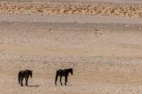 _namibia23set0213_small.jpg