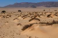 _namibia23set0217_small.jpg
