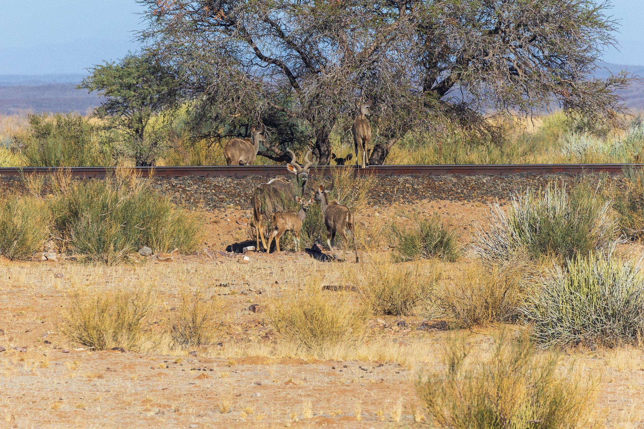 _namibia23set022.jpg