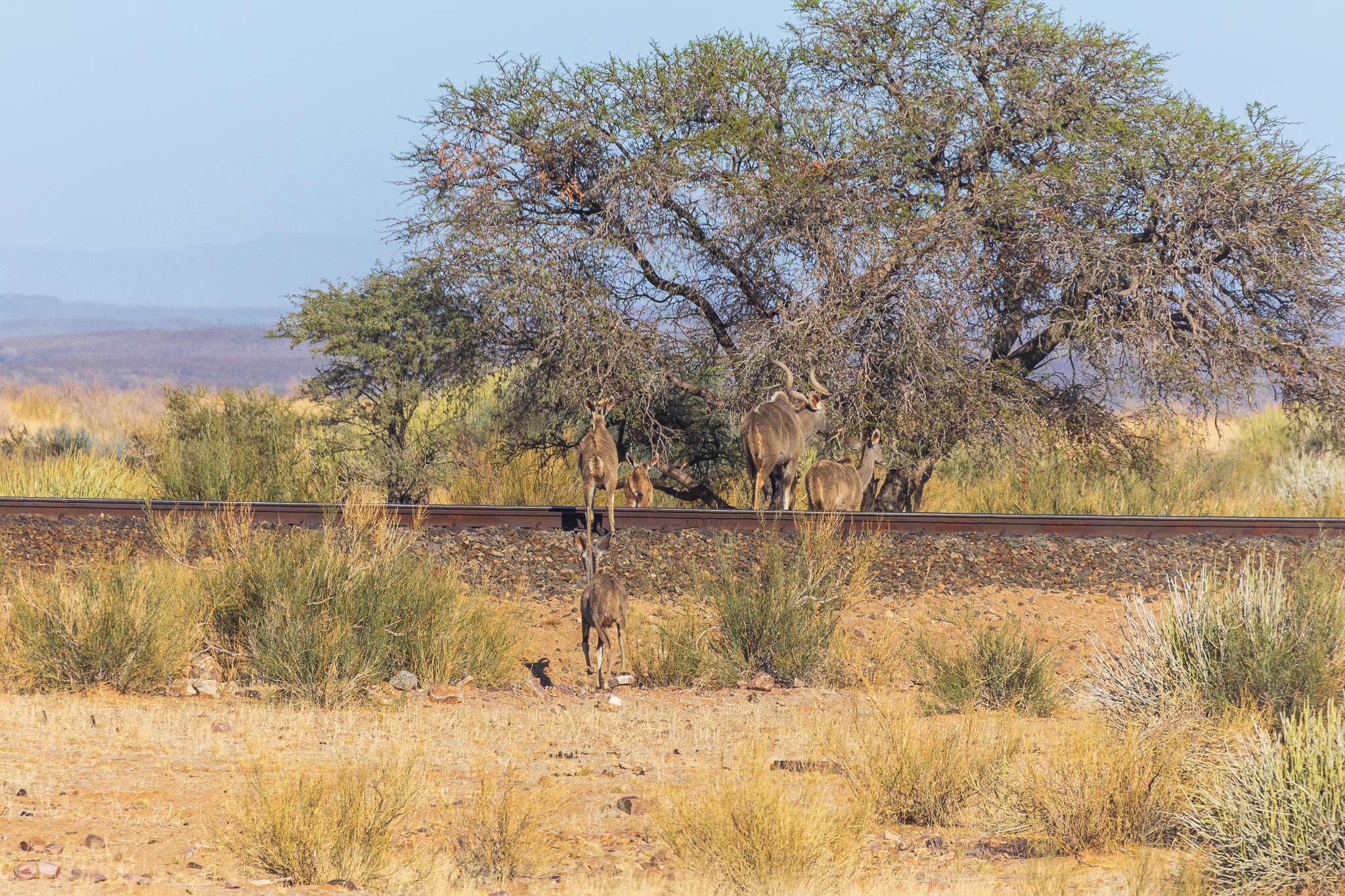 _namibia23set023.jpg