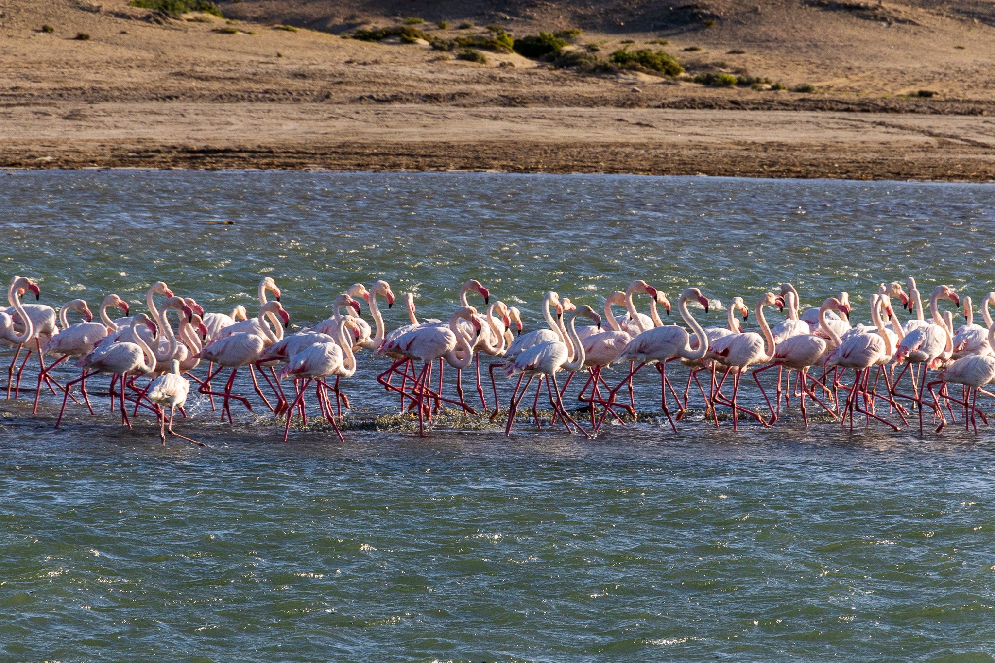 _namibia23set0234.jpg