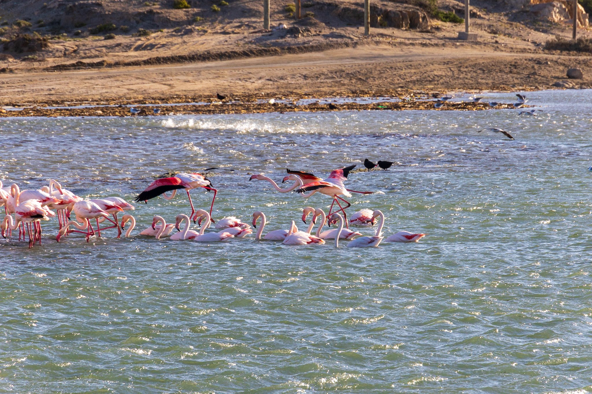_namibia23set0237.jpg