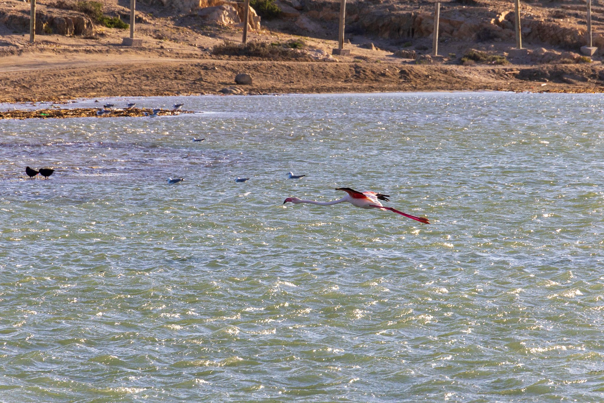 _namibia23set0239.jpg