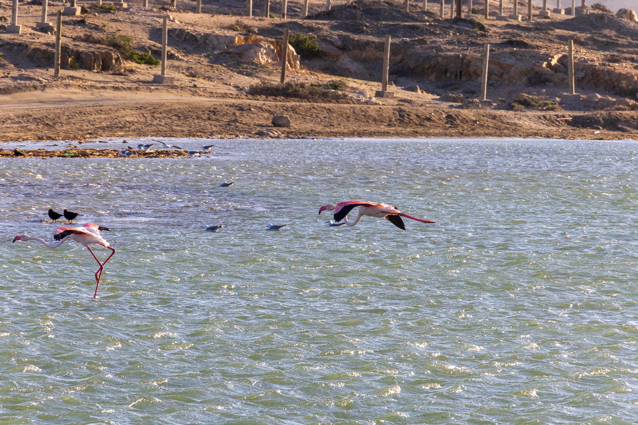 _namibia23set0240.jpg