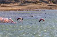_namibia23set0241_small.jpg