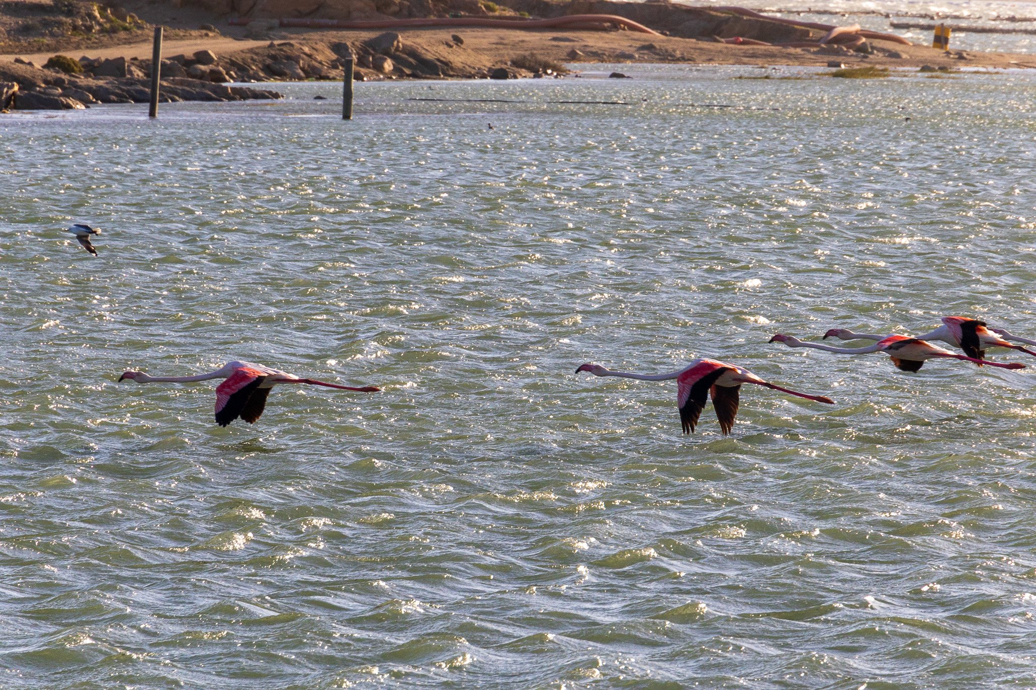 _namibia23set0242.jpg