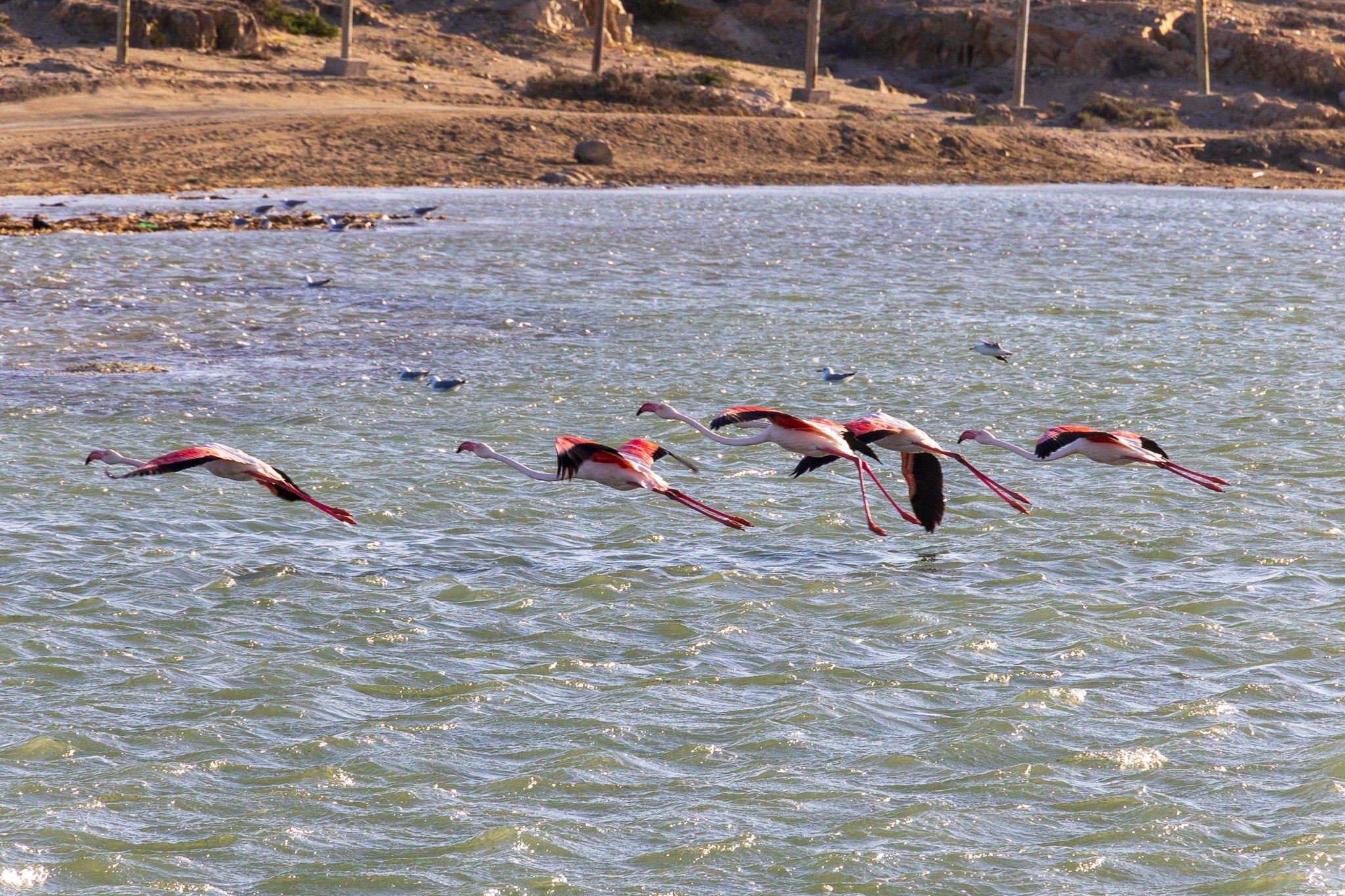 _namibia23set0244.jpg
