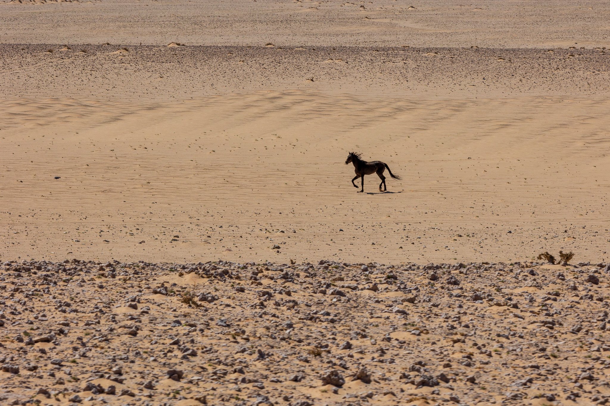 _namibia23set025.jpg