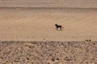 _namibia23set025_small.jpg