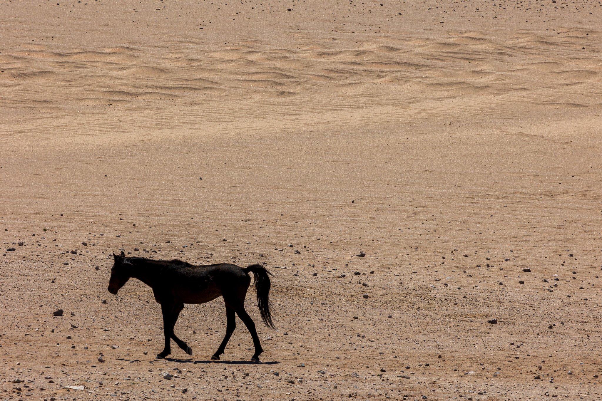 _namibia23set026.jpg