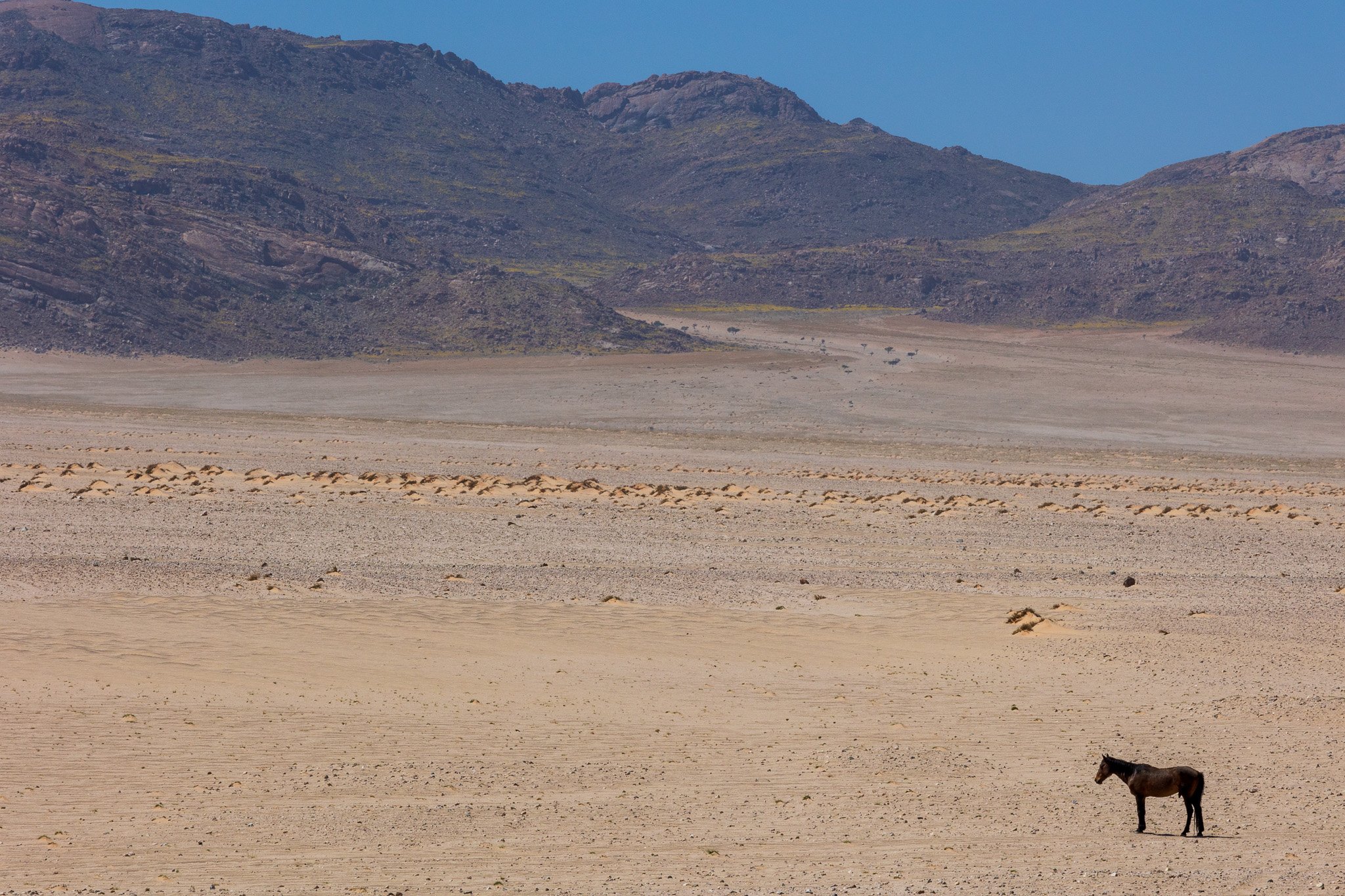 _namibia23set027.jpg